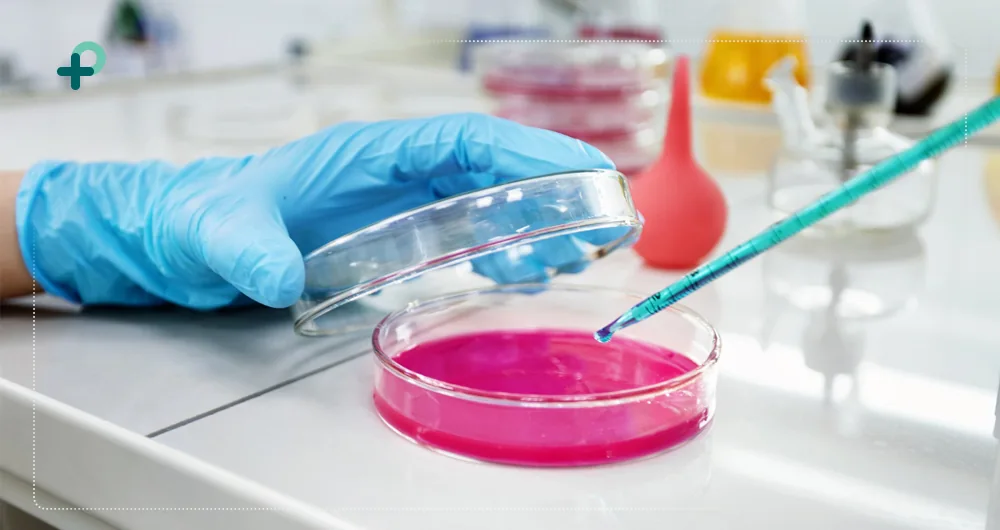 تعیین نوع آزمایشگاه و مدل کسب‌وکار برای راه اندازی آزمایشگاه میکروبیولوژی