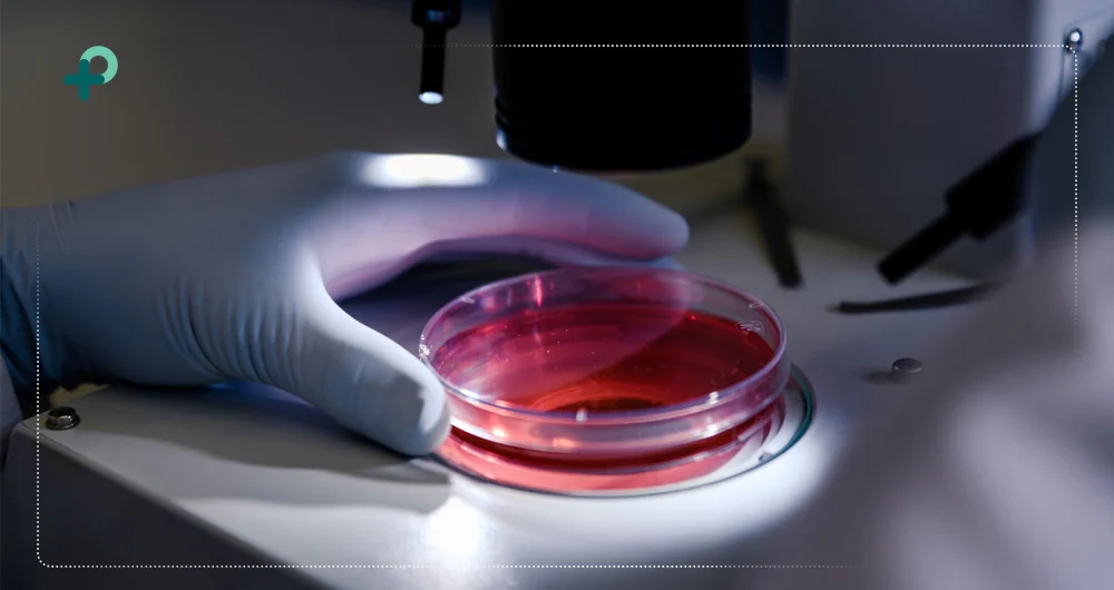 زیر ساخت های مورد نیاز برای راه اندازی آزمایشگاه میکروبیولوژی